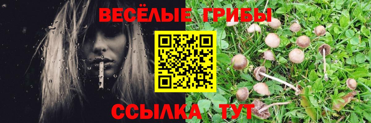Энгельс  Галлюциногенные грибы прущие грибы  Псилоцибиновые грибы MAGIC MUSHROOMS  Вход с VPN 